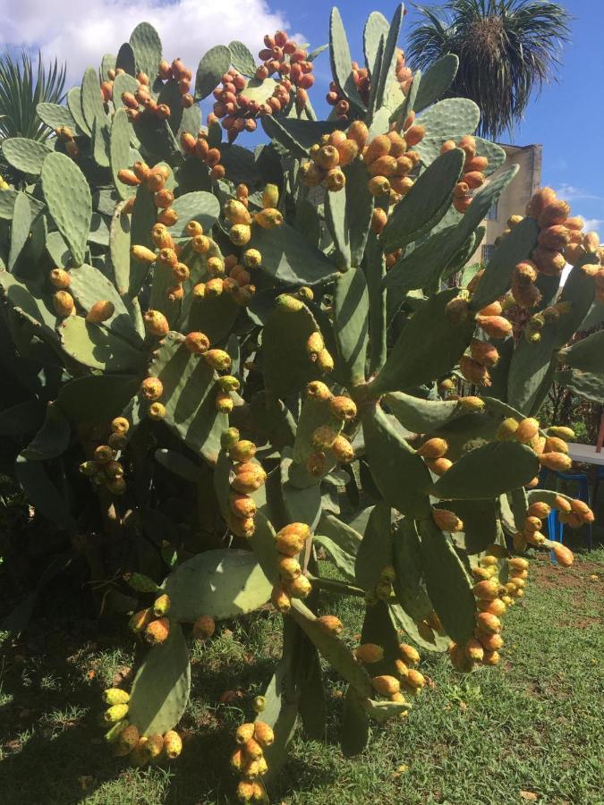 Residenza Caserta Sud - Appartamento Con Giardino Eksteriør billede